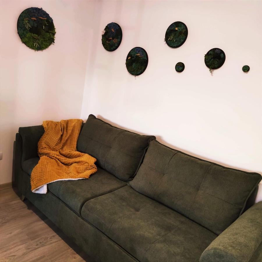 Ferienwohnung Cozy Studio Brașov Exterior foto